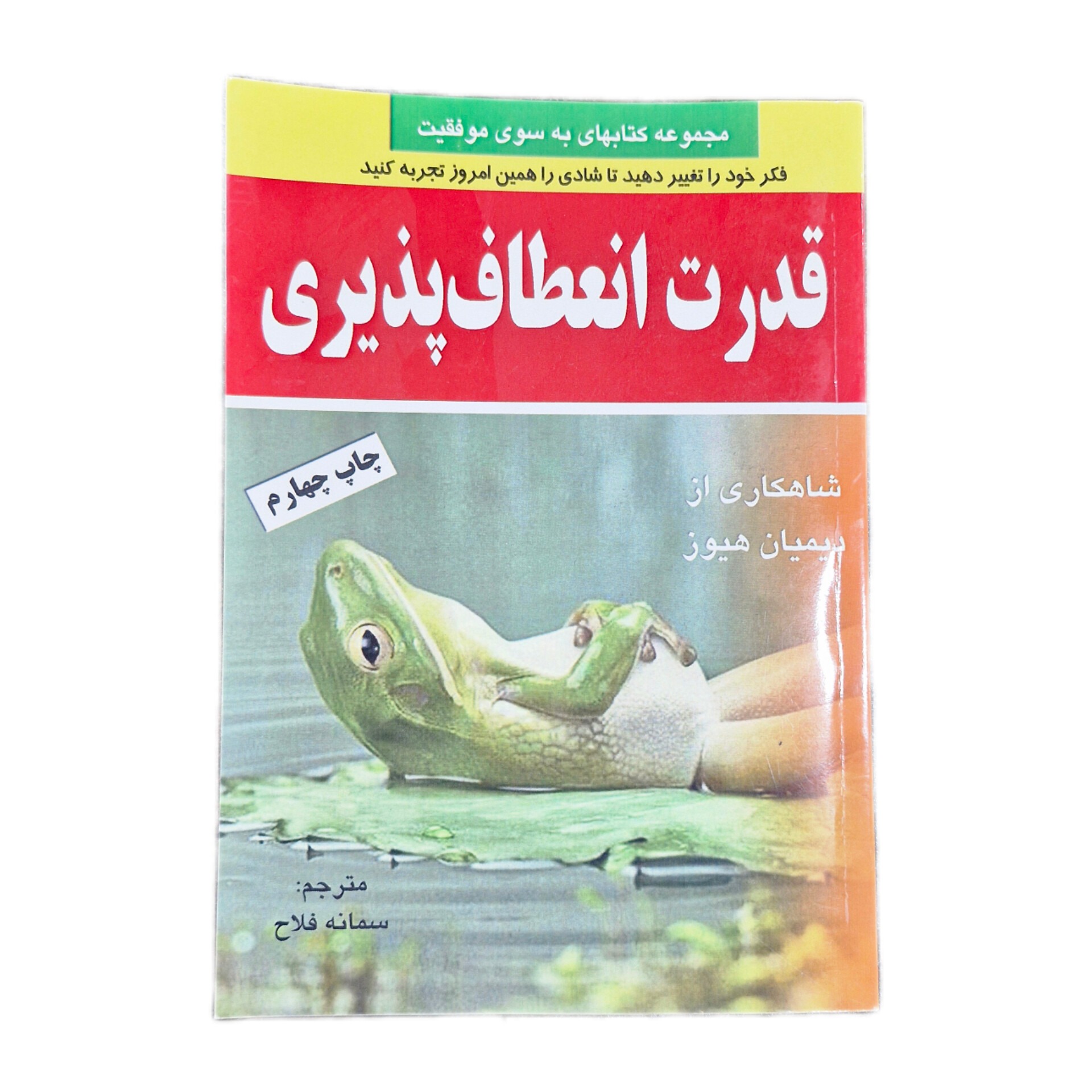 کتاب قدرت انعطاف پذیری